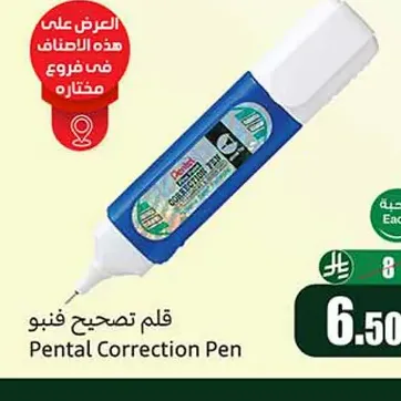 قلم تصحيح بنتال فنبو