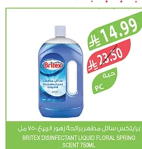 برايتكس سائل مطهر برائحة زهور الربيع ٧٥٠ مل